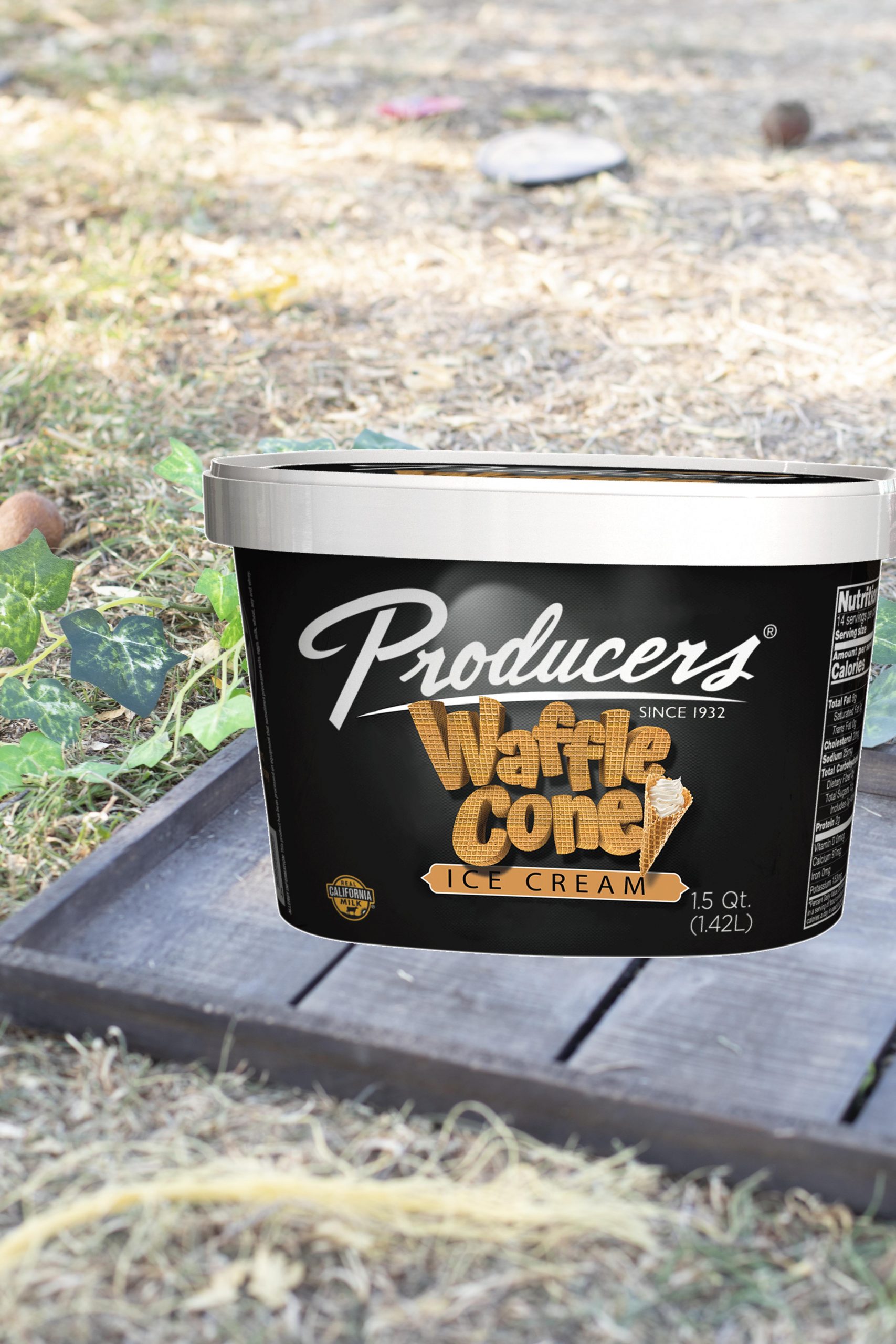 WaffleCone_Farm Waffle Cone Producers Ice Cream Container